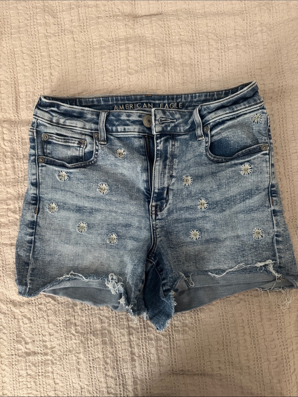 American Eagle Outfitters Light Blue Denim Daisy-Embroidered Shorts